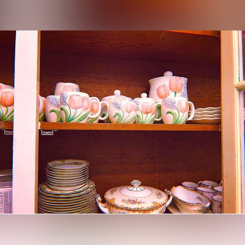 RARE VINTAGE OTAGIRI JAPAN, Mary Ann Baker, Hand Painted Tulip China set